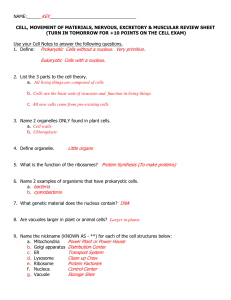 1. Define: Prokaryotic Cells without a nucleus. Very primitive