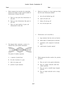 Genetics Practice Examination #3 Name: Date: 1. Which statement