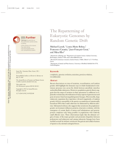 The Repatterning of Eukaryotic Genomes by Random Genetic Drift