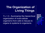 The Organization of Living Things