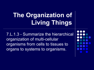 The Organization of Living Things