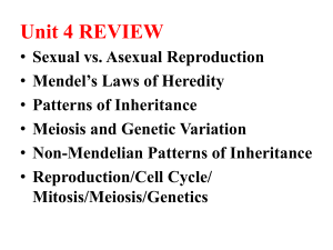 Meiosis and Genetic Variation