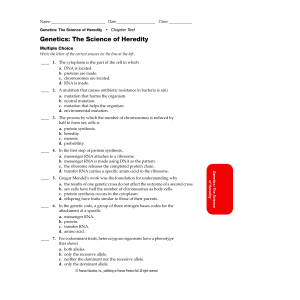 The Science of Heredity Chapter Test Genetics