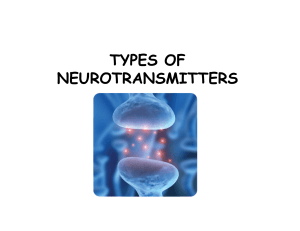 Ch 2 neurotrans and nervous sys