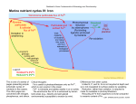 Marine nutrient cycles IV: Iron