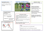 Musculoskeletal system The skeleton allows movement Muscles are