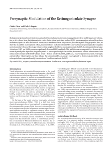 Presynaptic Modulation of the Retinogeniculate Synapse