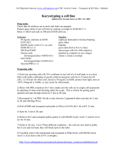 Karyotyping - Cell Migration Gateway