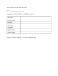 Chapter 6 Study Guide:​ ​Plate Tectonics Name: Vocabulary: write