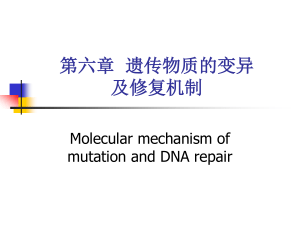 Gene Mutation