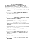 Cell Cycle and Mitosis Vocabulary Scan the definitions given below