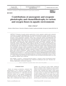 Contributions of anoxygenic and oxygenic phototrophy and