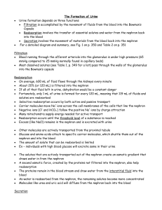 4. Formation of Urine