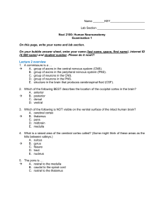 Exam - McLoon Lab