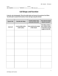 Cell Shape and Function - ESC-2