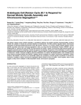 Arabidopsis Cell Division Cycle 20.1 Is Required for Normal Meiotic