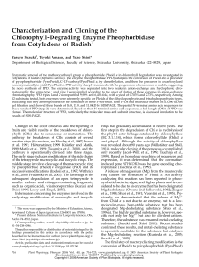 Characterization and Cloning of the Chlorophyll