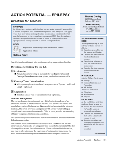 action potential — epilepsy