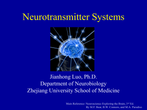 Neurotransmitter Systems