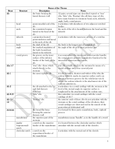 Bones of the Thorax Bone Structure Description Notes rib the bone