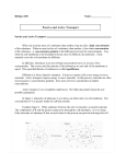 Passive and Active Transport