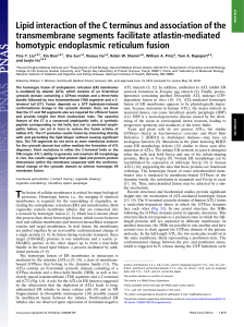 Lipid interaction of the C terminus and association of the