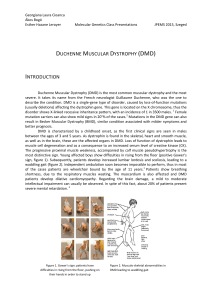 duchenne muscular dystrophy (dmd) introduction