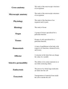 Gross anatomy Microscopic anatomy Physiology Histology Organ