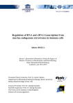 Regulation of RNA and cDNA transcription from murine endogenous