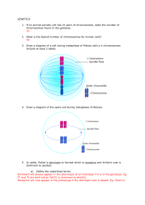 GENETICS 1. If an animal somatic cell has 22 pairs of chromosomes