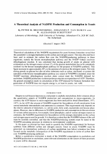 A Theoretical Analysis of NADPH Production and