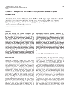 Spinalin, a new glycine- and histidine