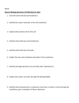 General Biology Bozeman Cell Membrane video 1. Describe what