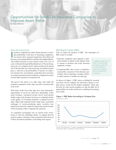 Opportunities for Small Life Insurance Companies to Improve Asset