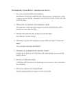 The Respiratory System Review*Answer in complete sentences on