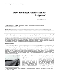 Root and Shoot Modification by Irrigation