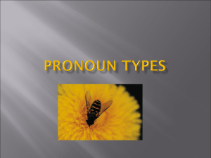 Pronoun Types