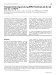 Exchange protein directly activated by cAMP (EPAC) interacts with