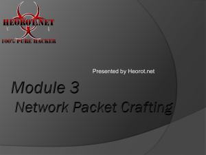 Module 3 Network Packet Crafting