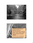 Macroinvertebrates and Bioassessment: Using Biological Indicators