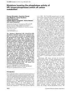 Mutations lowering the phosphatase activity of HPr kinase