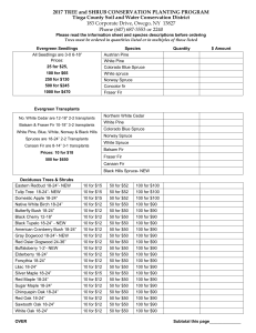 2017 TREE and SHRUB CONSERVATION PLANTING