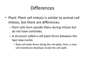 Producing offspring by the joining of sex cells.