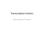 Transcription Factors