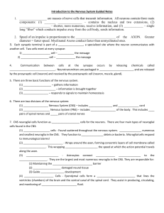 Introduction to the Nervous System Guided Notes are masses of