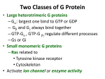 Chemical Signals and Cellular Receptors