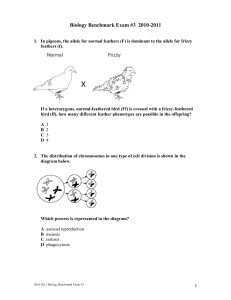 Name - PSUSDscienceresources