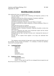 respiratory system