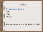 Biochem Lipids2010