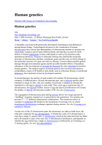 A very large amount of genetic variation exists in the human